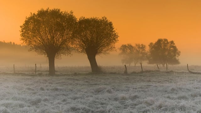 Temperatures to drop to -5 in parts and there's frost in store this weekend