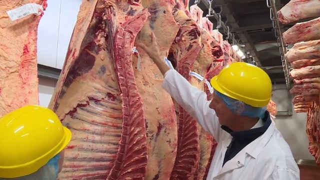 Call for NI farmers to ‘stand firm’ against abattoirs on beef prices