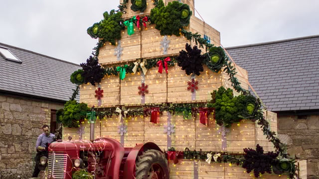 11 Christmas song titles taken literally by Irish farmers