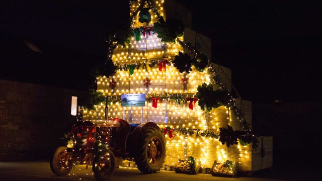 A Christmas tree with a difference to celebrate harvest 2016