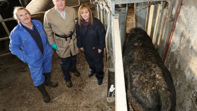 TB update: Chief vet says 'better surveillance' pushing up TB incidence rates