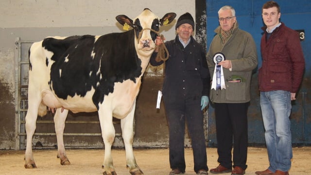 A family of Holstein breeders take home close to €50,000 at dairy sale