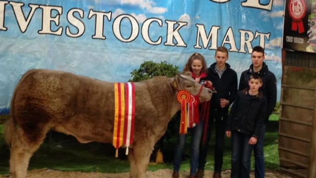 Cattle marts: Champion heifer sells for €2,800 at Raphoe Mart