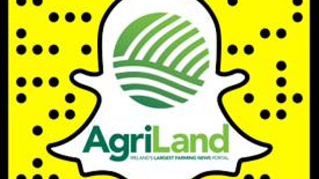 The best Snapchats Agriland received this year – did your photo make the cut?
