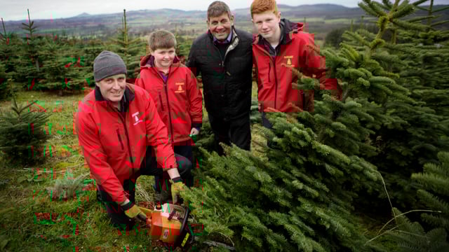 'Buy a real Christmas tree' - the industry is worth €21m to the economy