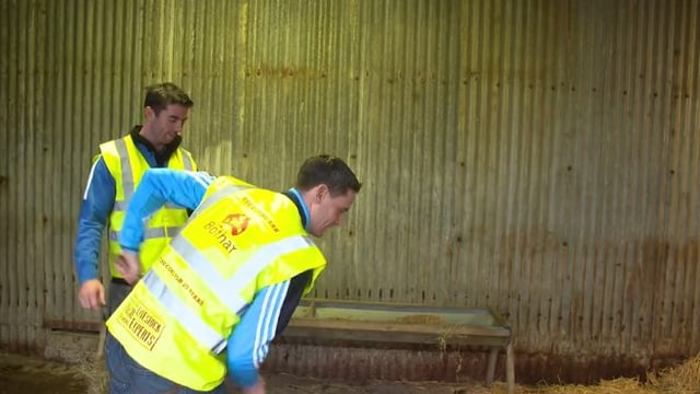 Video: All-Ireland winners visit farm where Bothar animals are hand-reared