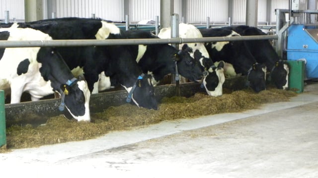 Department confirms milk reduction payment procedures