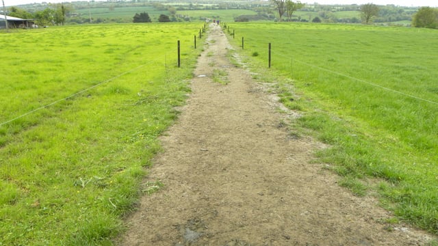 Milking 3,300 cows in a 'win-win' New Zealand milking agreement