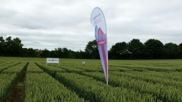 New Syngenta fungicide receives early approval for use in Ireland