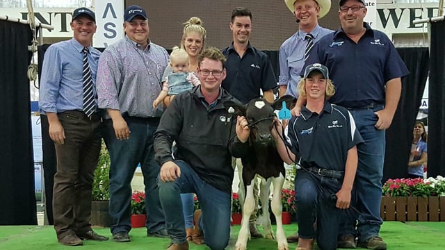 Holstein heifer calf sells for over €175,000 in Australia