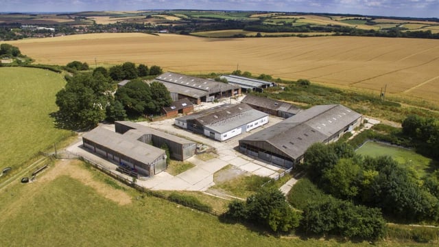 UK farmers told branding will combat cheap meat after Brexit