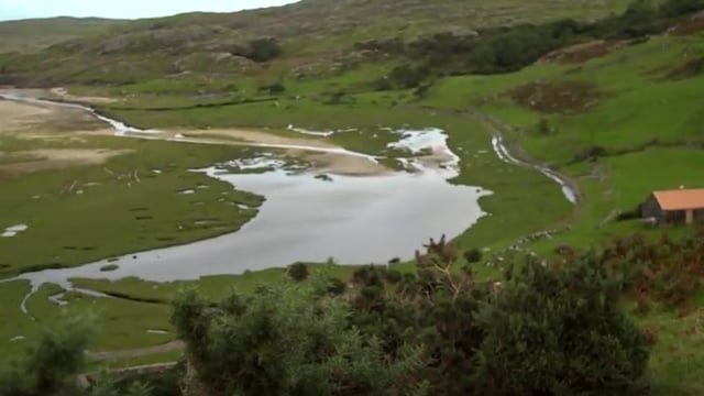 History, hedgecutting and a hunt to feature on Ear to the Ground