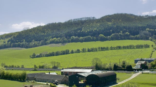 NI farmers may be in a position to receive CAP subsidies until end of 2019