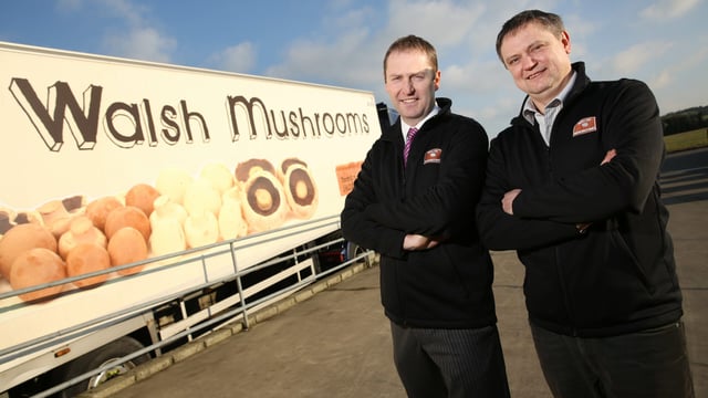 Second largest mushroom supplier to the UK acquires Golden Mushrooms