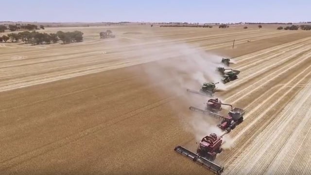Video: Drone footage captures the scale of the Australian harvest