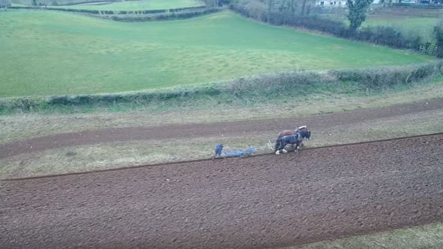 Video: Farmer ditches modern machinery in favour of horses