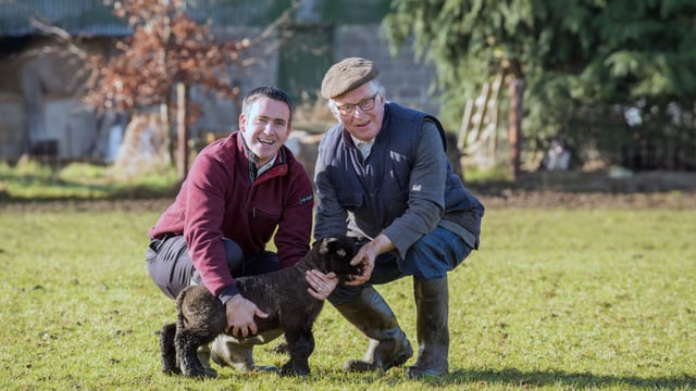 'Even quiet, docile dogs can turn into killers'