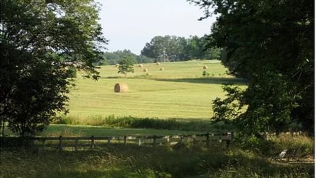 13ac farm worth $450,000 up for grabs in an essay competition in the US