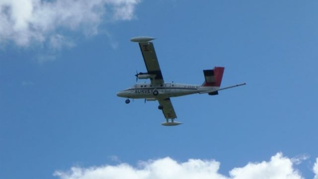 Farmers warned about low-flying aircraft which may startle livestock