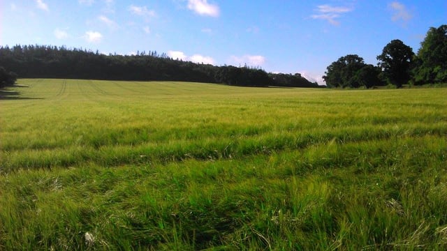 Falling farm income forces farmer to diversify into brewery venture