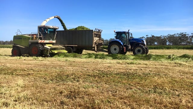 Video: Silage addiction draws one young Irish man to Australia and back