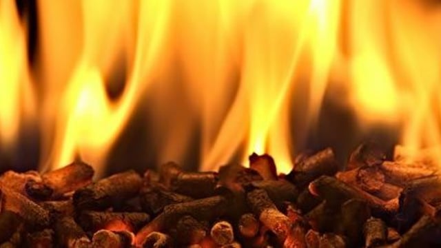Tyrone farmer gets over £600,000 from NI heat scheme...using 13 boilers