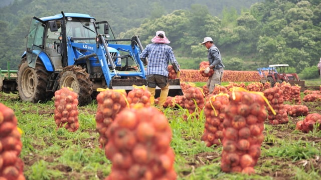 From east to west: More Korean tractors destined for Irish farms?