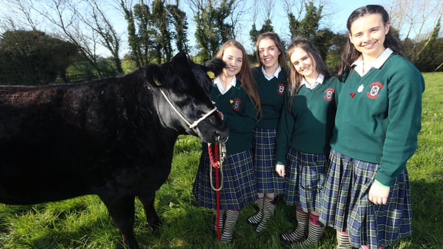Dublin girls take home first prize in Irish Angus schools competion