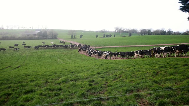 Have you considered selective dry-cow therapy?