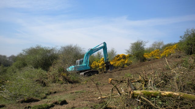 Meath farmer fined for illegal destruction of hedgerows