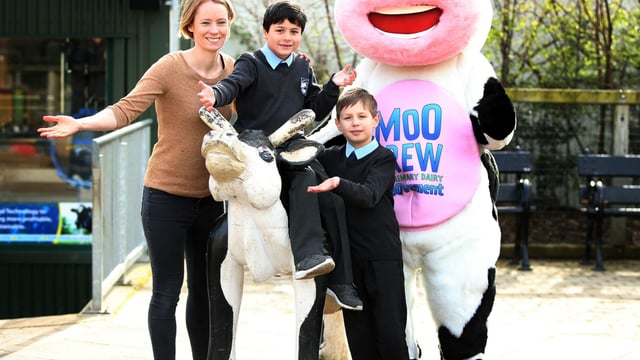 National Dairy Council's education campaign gets another green light