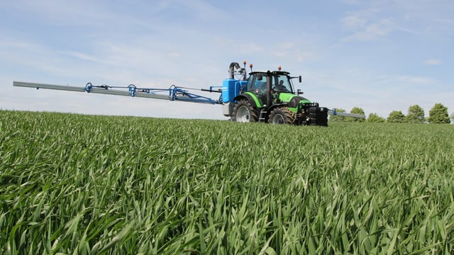 Septoria resistance will be a game changer for Ireland’s grain sector
