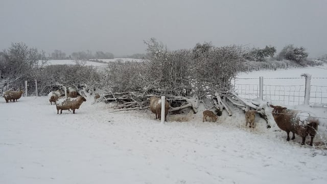 Snow and ice warning extended