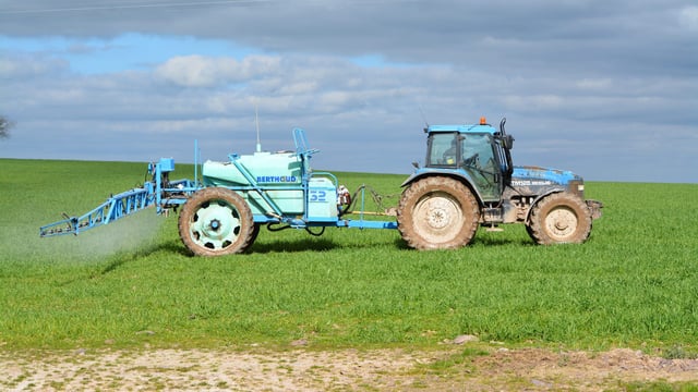 Bayer confirms that ramularia is resistant to most fungicide chemistries