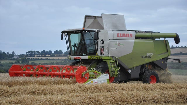 Discussions underway to find a single agri-food Brexit strategy for Northern Ireland