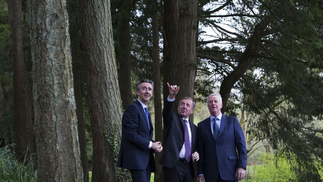 Coillte launches 'risk-free' private forestry initiative