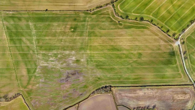 'Flying' with the times: Can drones play a practical role in farming?