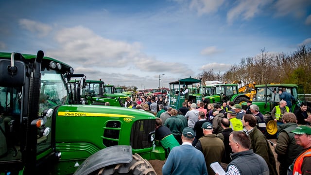 Pics: Irish buyers strong on 'red' and 'blue' but not 'green' at this month's major auction in Cambridge