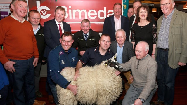 Major sheep shearing festivals to take place in the coming weeks