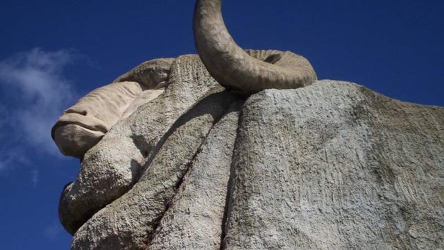 Effects of buoyant wool prices felt 'Down Under'