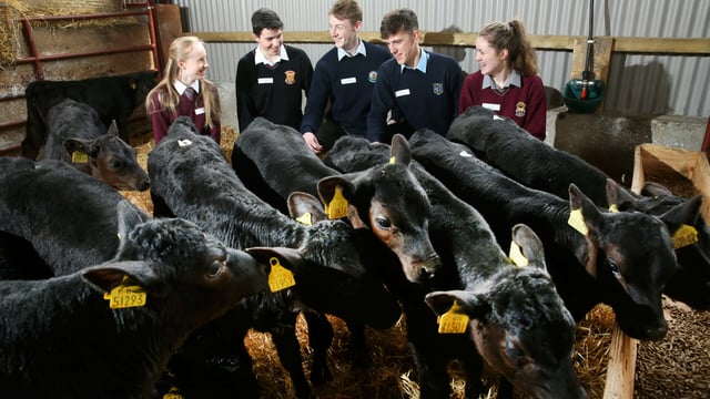 Winner of Angus schools competition to be announced tomorrow