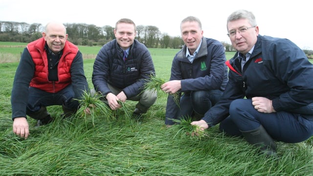 High output from a grass-based sheep system in Co. Westmeath