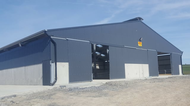 Pics: A sheep shed designed to 'make life easier' during the lambing season