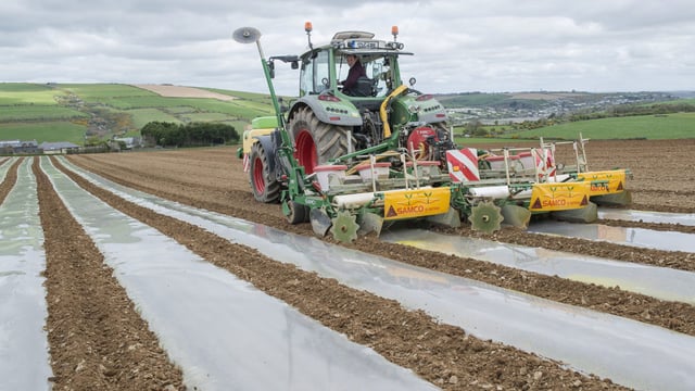 'Conditions for sowing maize are good at the minute'