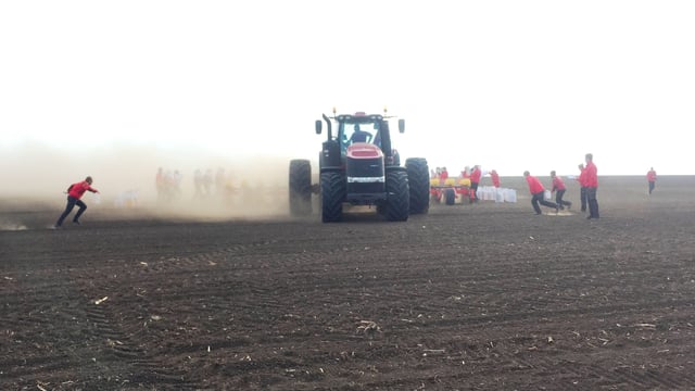 New world record for sowing maize set by Case IH and Vaderstad