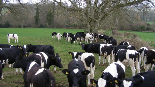 Deadline approaches for Teagasc diploma applications