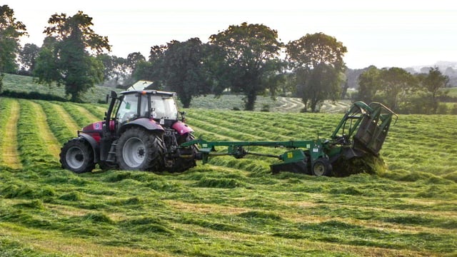 Growth Watch: Harvesting first cut silage crops