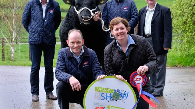 Newry Show 2017 to host Aberdeen Angus extravaganza