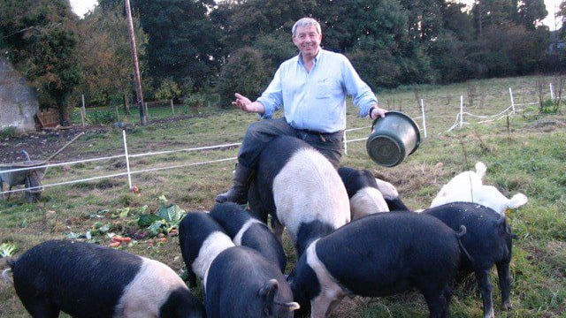 'Carving' out a business – and a better life – from pig farming