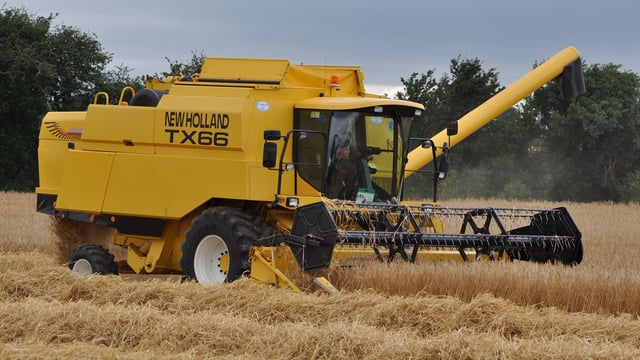 Irish Grain Growers hit out at Boortmalt-IFA deal